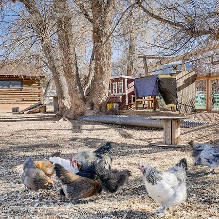 Cozy Parowan Studio 12 Mi To Brian Head Resort! المظهر الخارجي الصورة