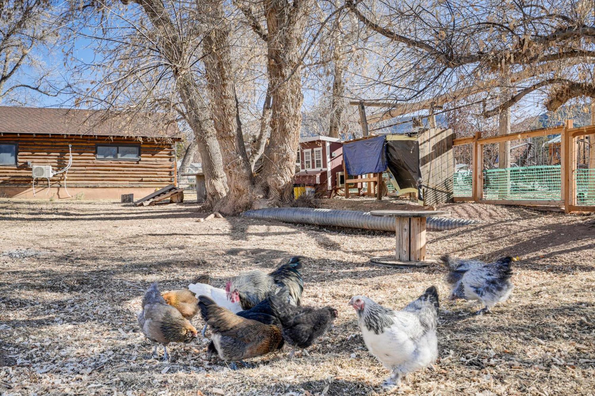 Cozy Parowan Studio 12 Mi To Brian Head Resort! المظهر الخارجي الصورة