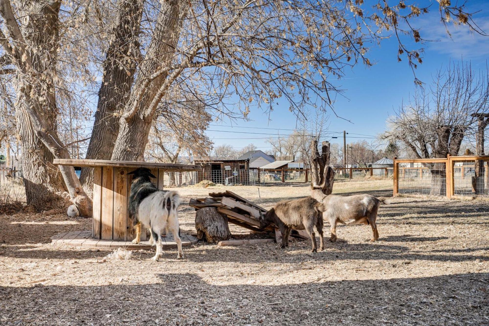 Cozy Parowan Studio 12 Mi To Brian Head Resort! المظهر الخارجي الصورة